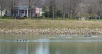Women s Novice 4 c